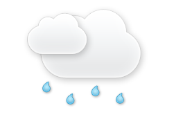 Light Rain Fog/Mist